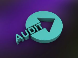 Auditor for Not-for-Profit Organizations